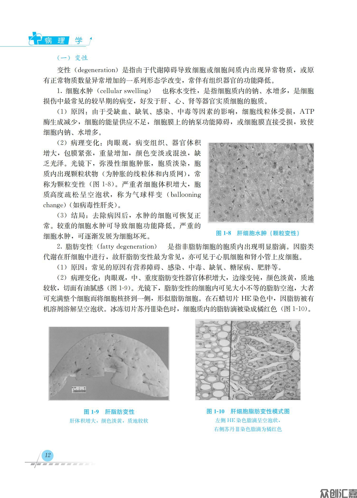 病理学_19.jpg