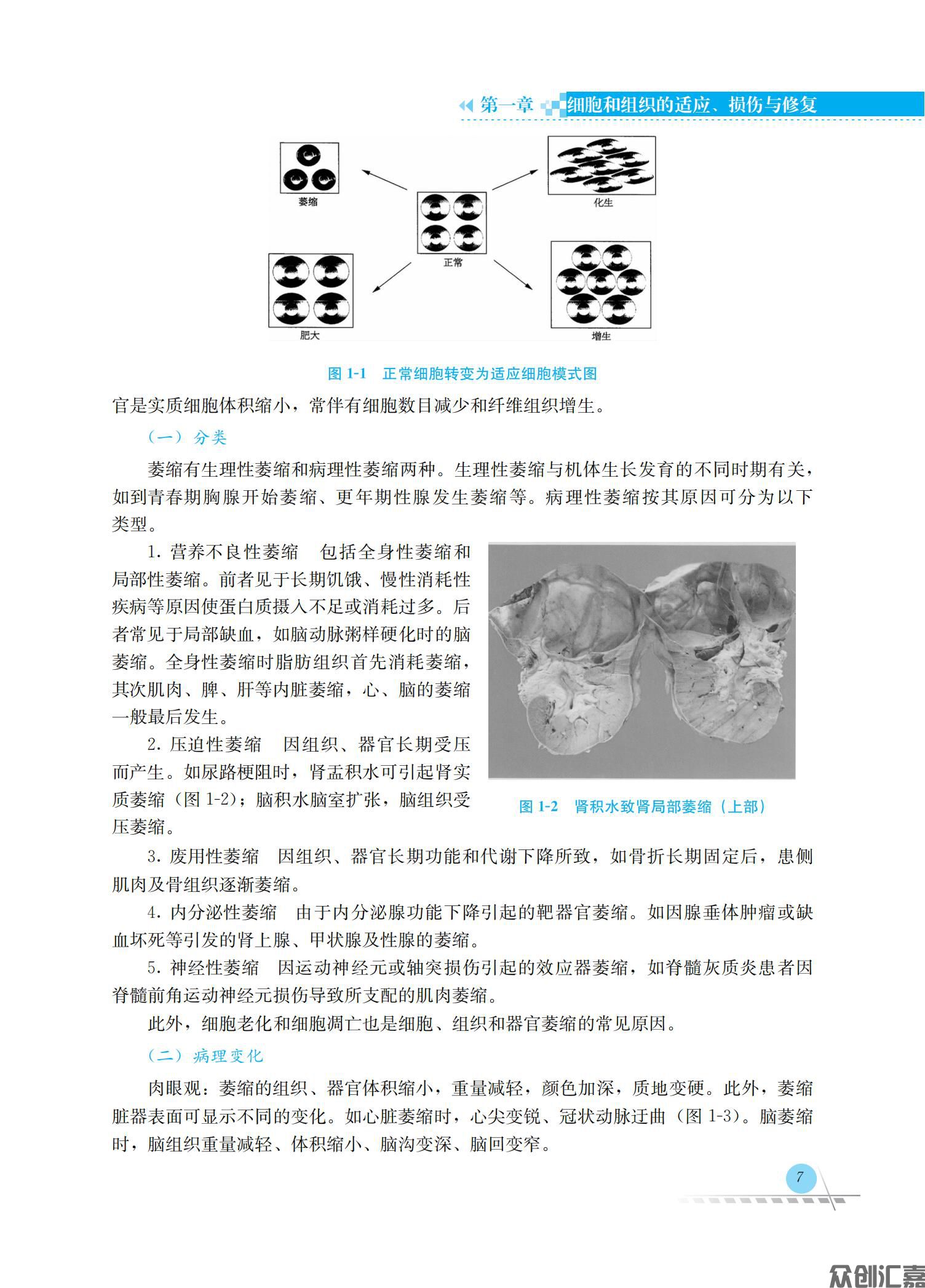 病理学_15.jpg