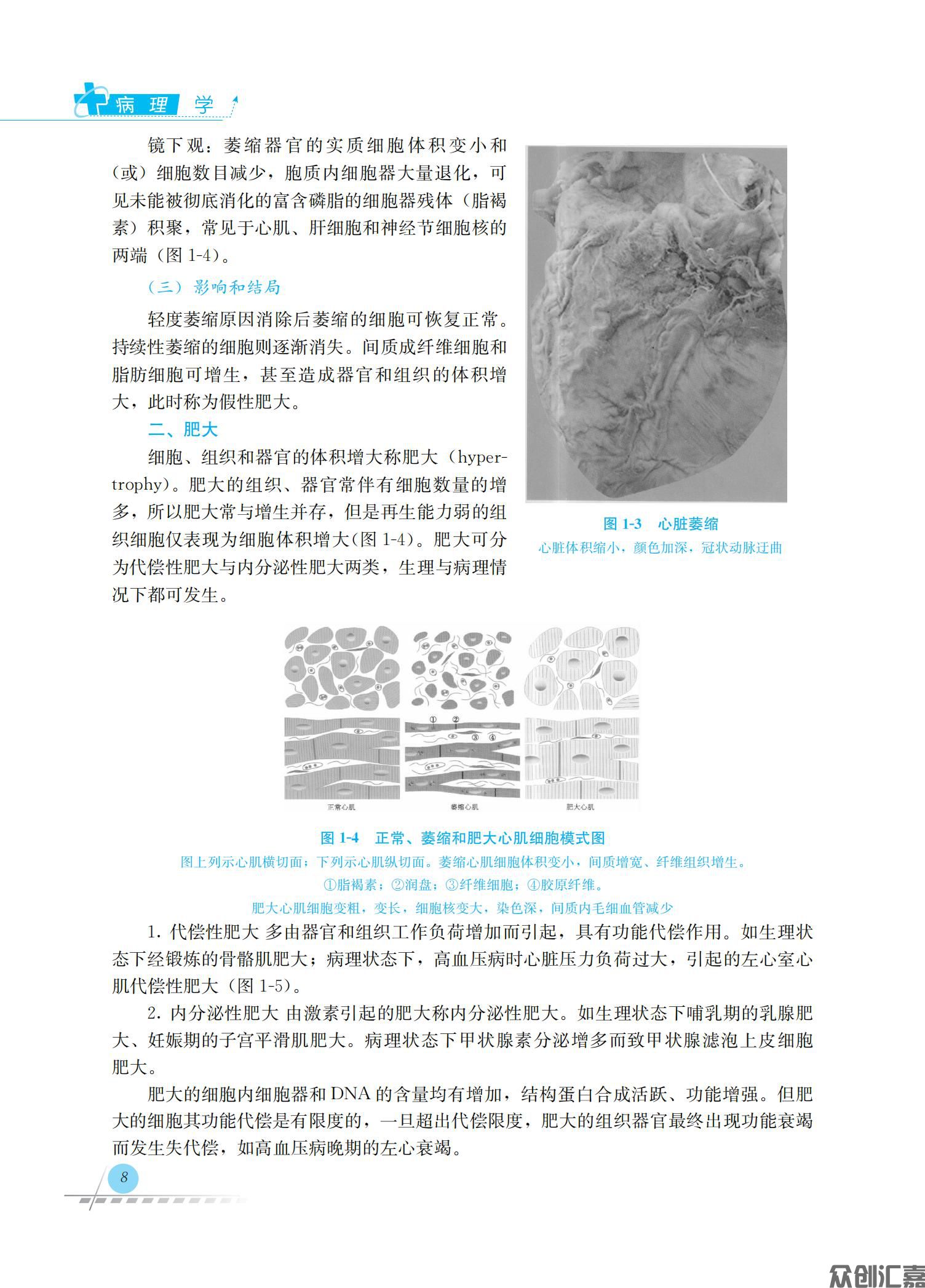 病理学_16.jpg