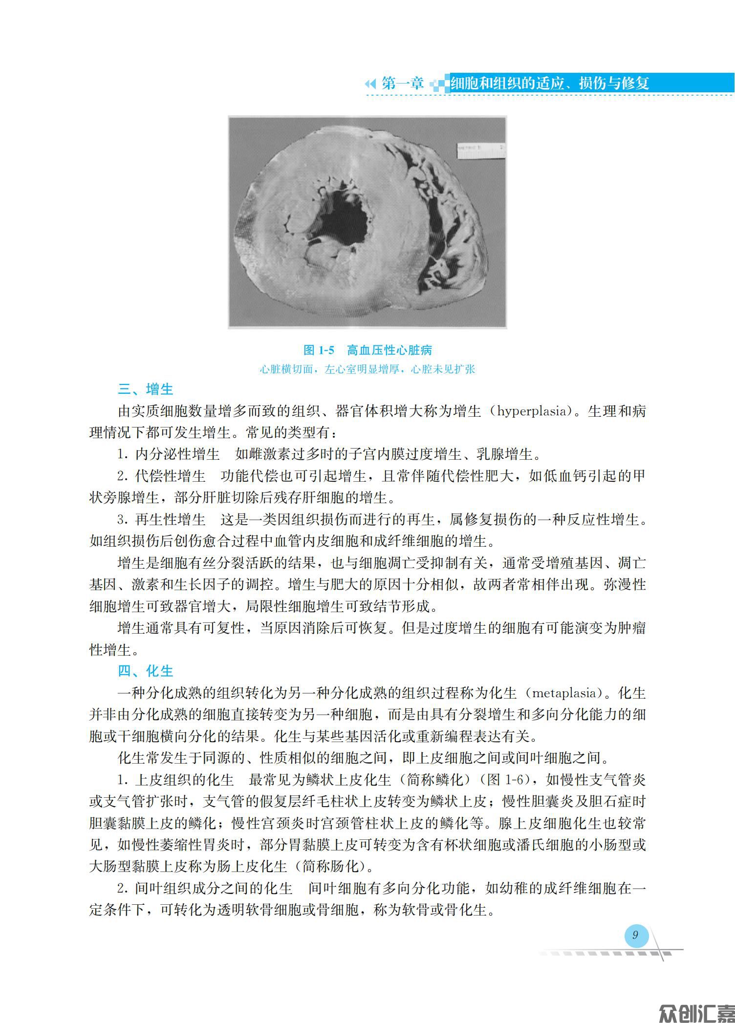 病理学_17.jpg