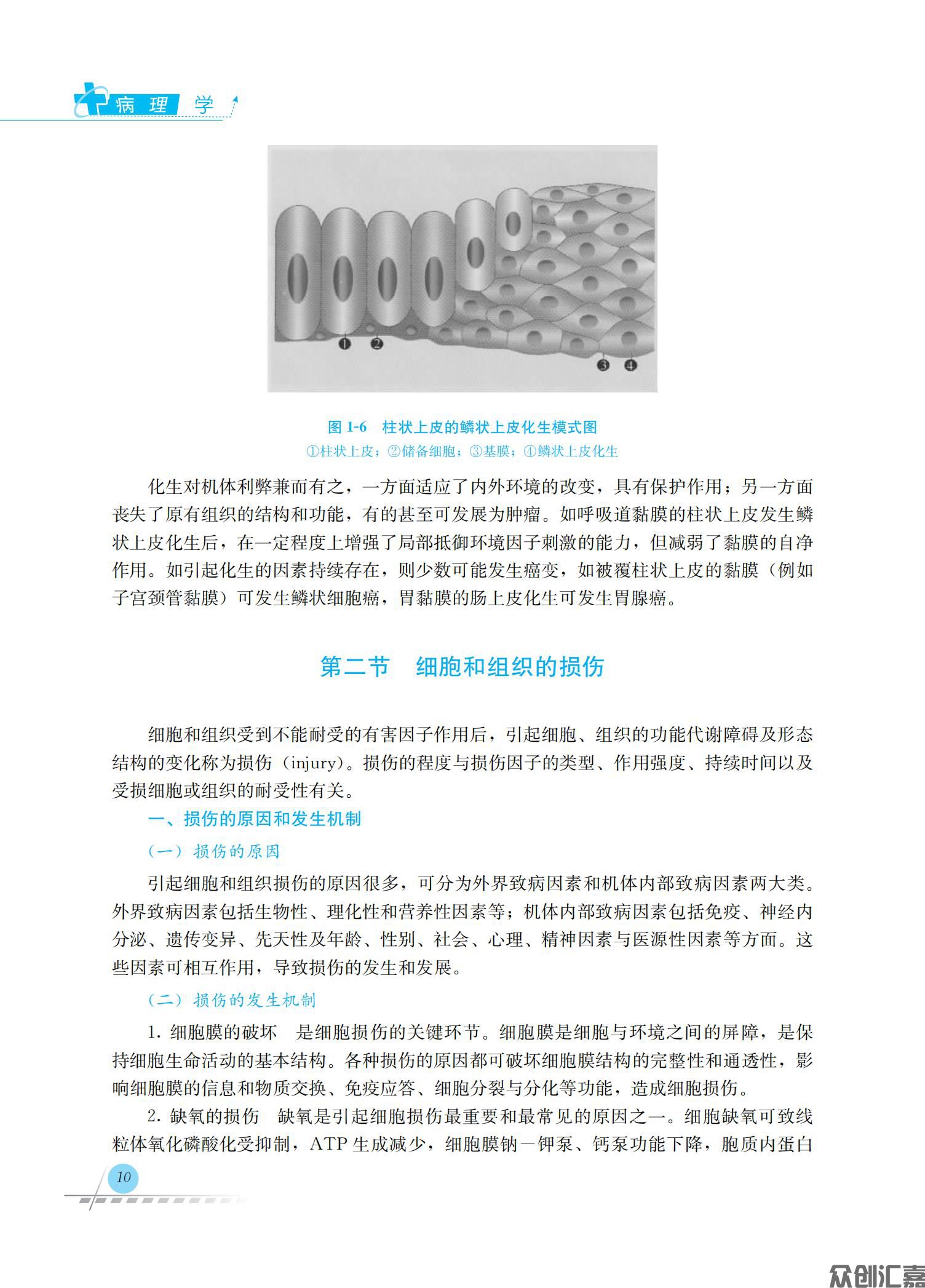 病理学_18.jpg