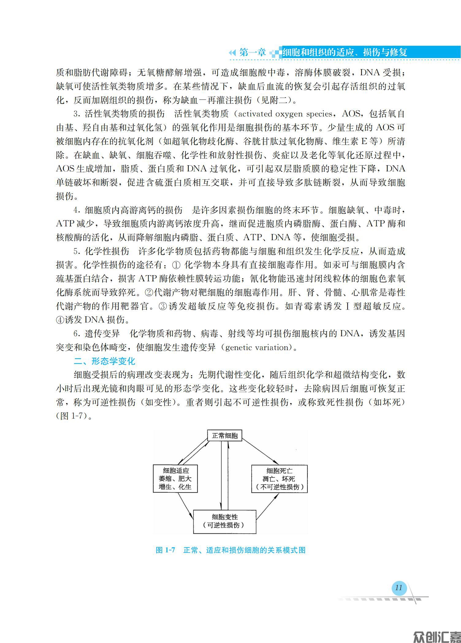病理学_19.jpg