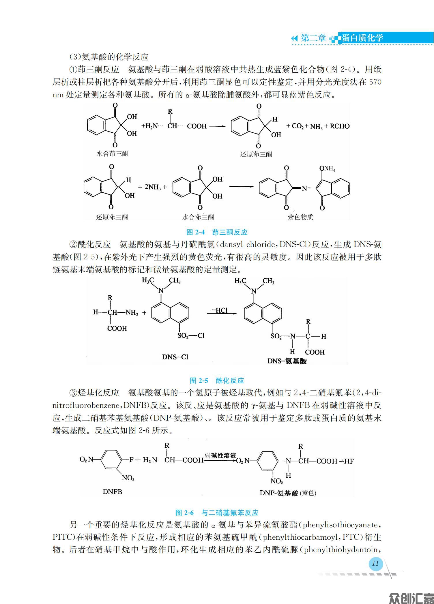 生物化学_17.jpg