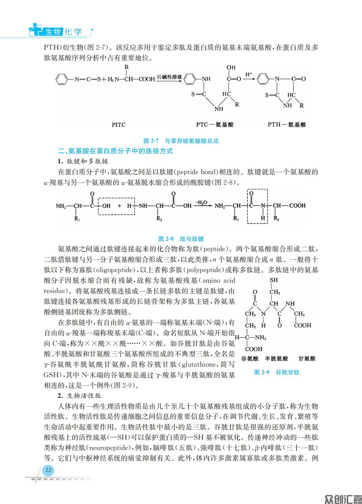 生物化学_18.jpg
