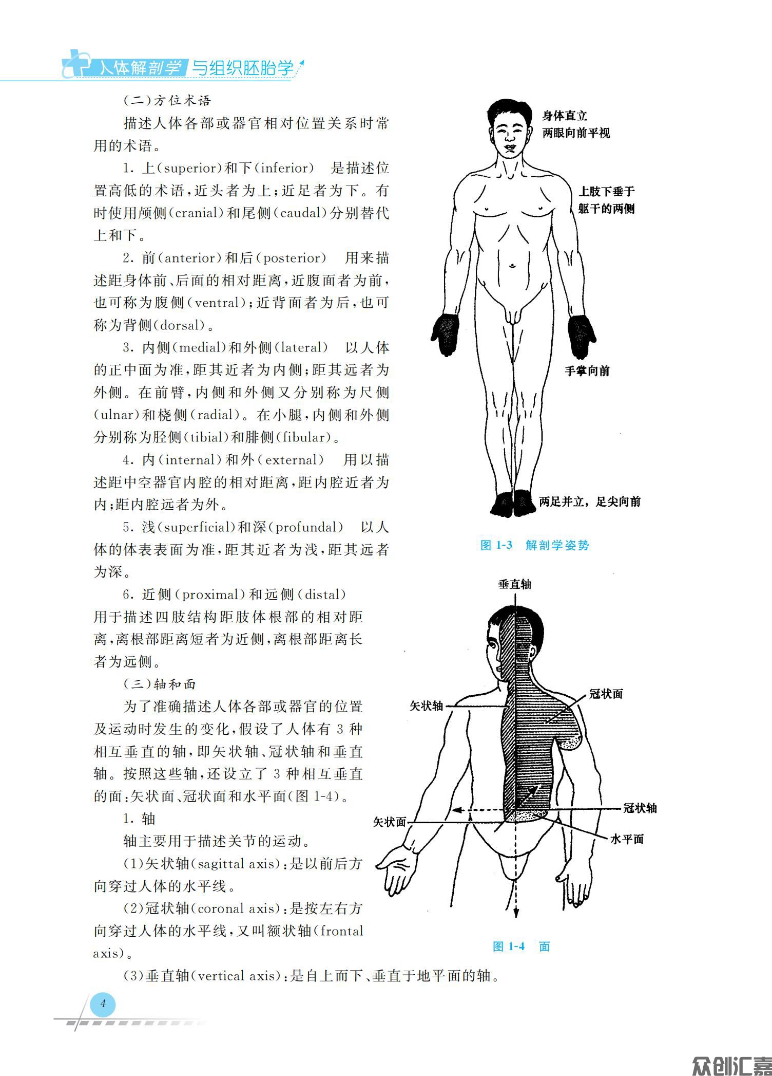 人体解剖学与组织胚胎学_11.jpg