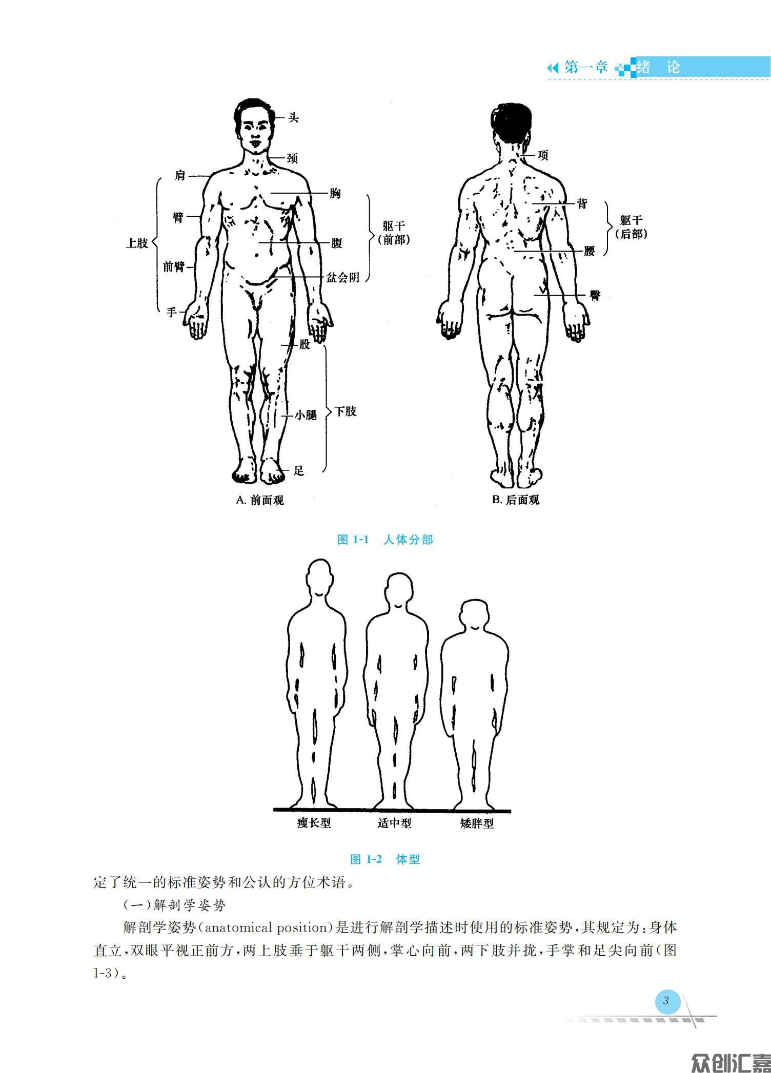 人体解剖学与组织胚胎学_10.jpg