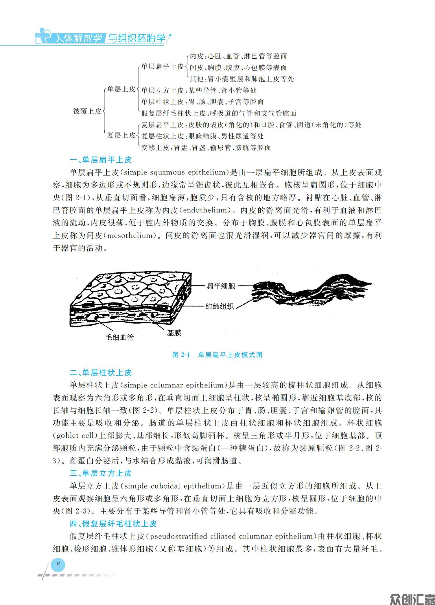 人体解剖学与组织胚胎学_15.jpg