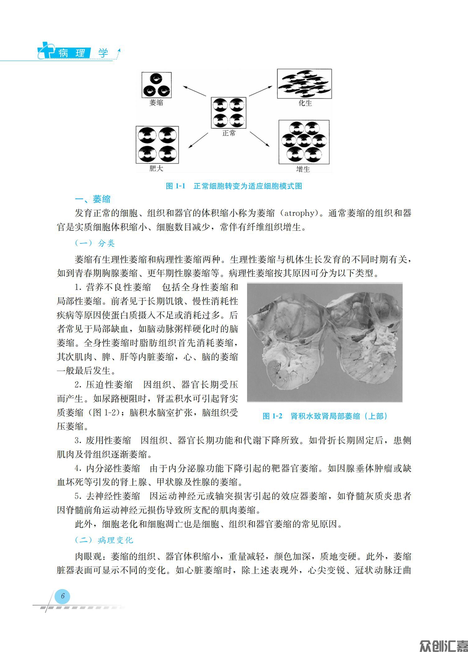 病理学_15.jpg