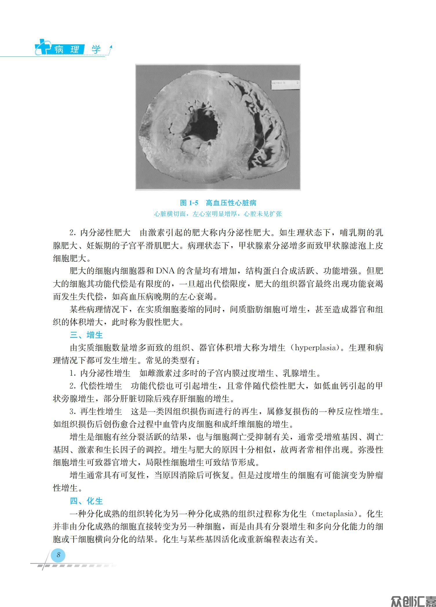 病理学_17.jpg