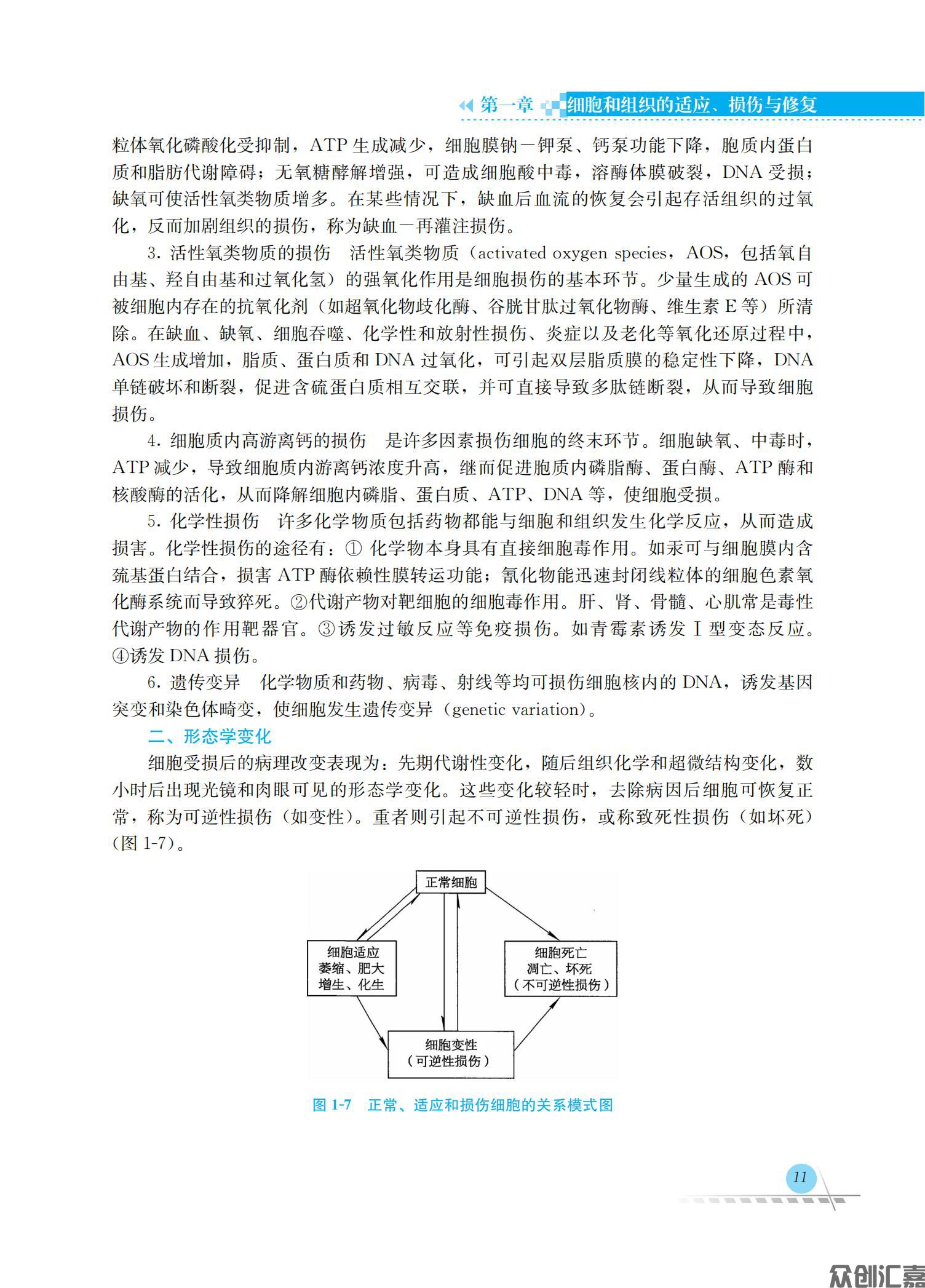 病理学_20.jpg