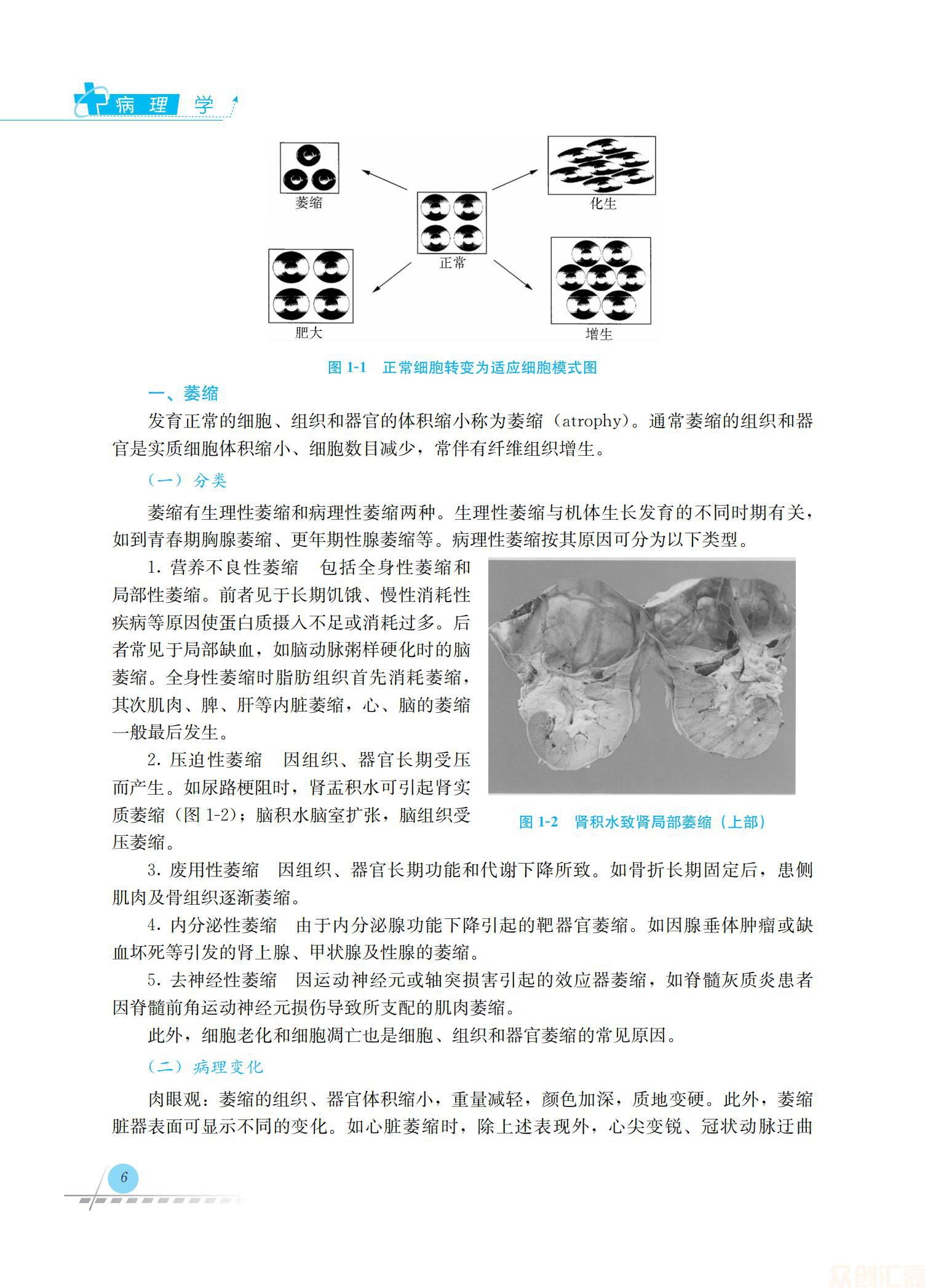 病理学36.00_13.jpg