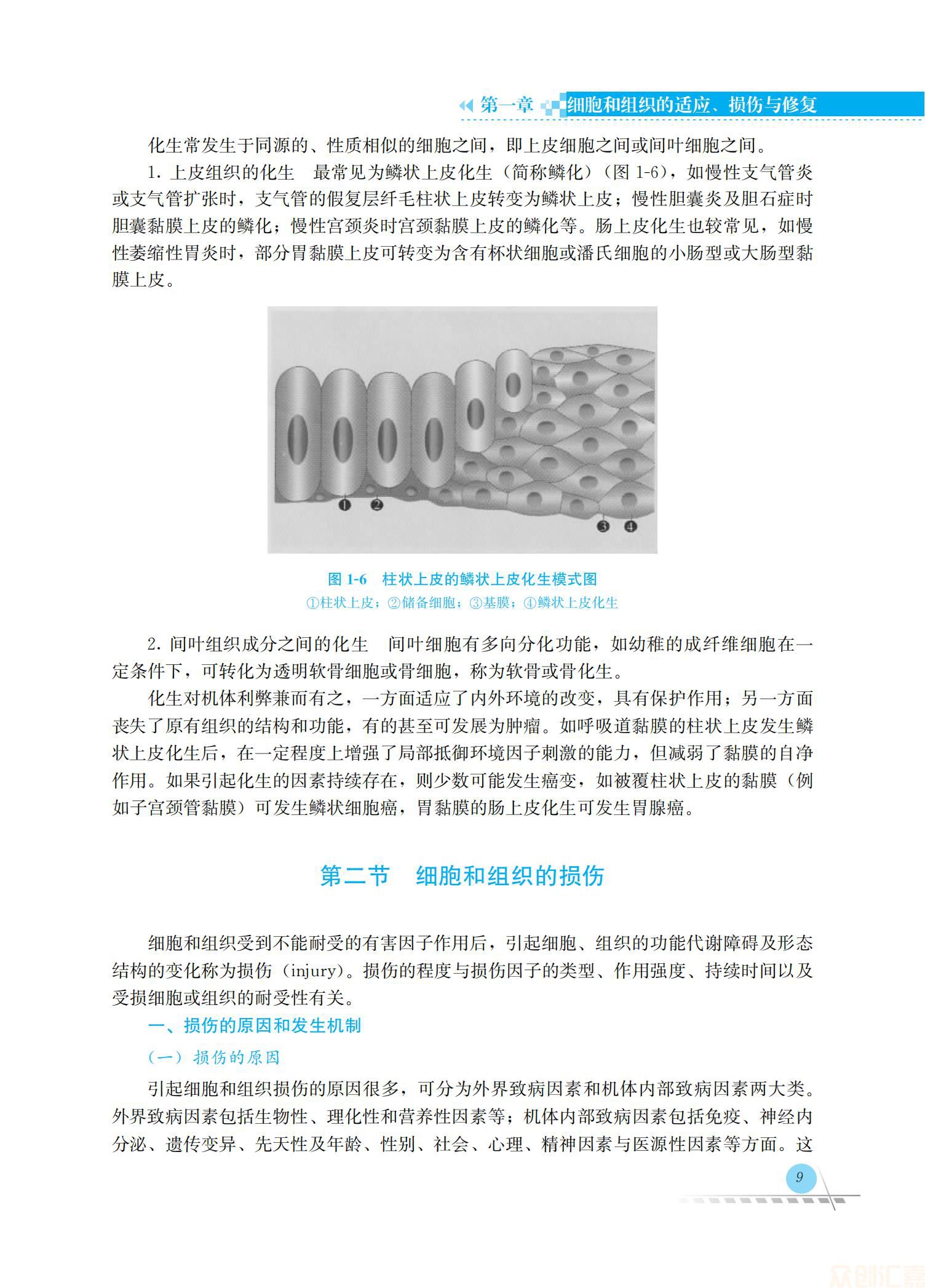 病理学36.00_16.jpg