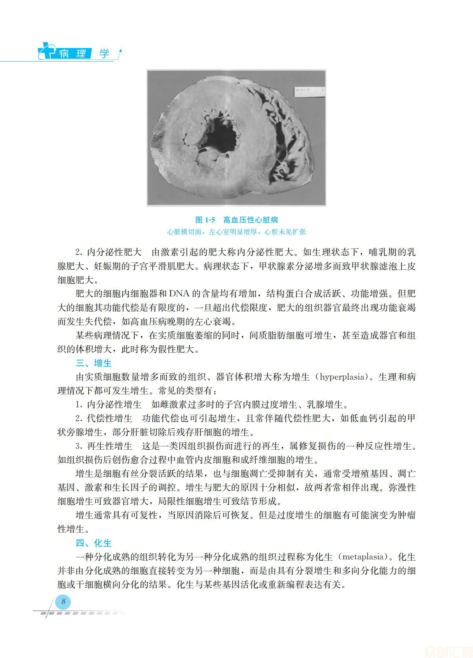 病理学36.00_15.jpg
