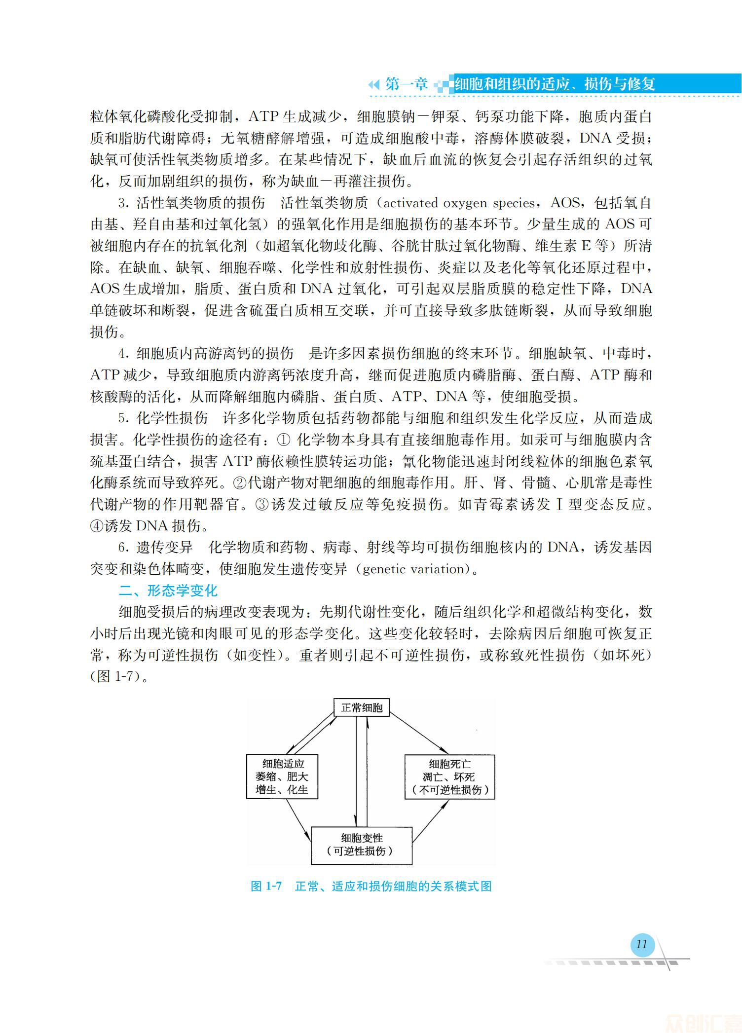 病理学36.00_18.jpg